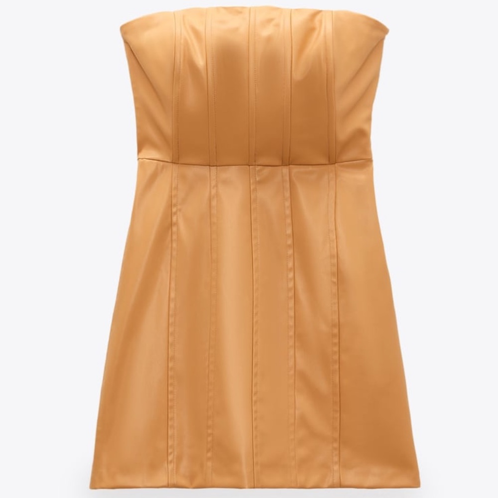 Zara Leather Mini